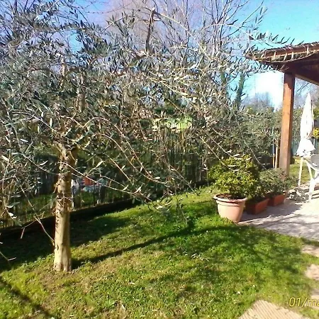 Maria *